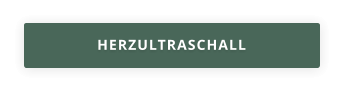 HERZULTRASCHALL