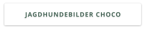 JAGDHUNDEBILDER CHOCO