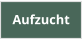 Aufzucht