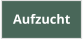 Aufzucht