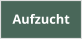 Aufzucht
