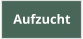 Aufzucht