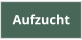 Aufzucht